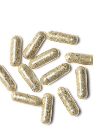Golden teacher  capsules